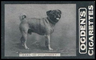 158 Earl of Prestbury